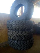 Interco Super Swamper LTB. �����������, 2018 ���, �����