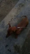 �����. ����