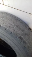 Odyking. ������, �/�, ����� 80�% ����