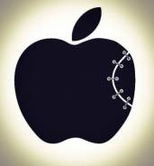 Ремонт iPhone (выезд мастера на дом)
