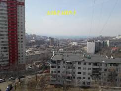 2-комнатная, улица Аллилуева 3. Третья рабочая, агентство, 49 кв. м. Вид из окна днём