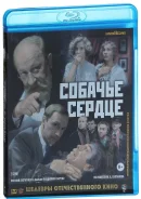 ������� ������ (Blu-ray), �������� Sony ����, ����� ��������� ����