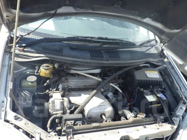 Toyota Nadia. SXN10, 3SFSE ����