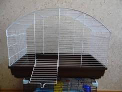 Клетки.