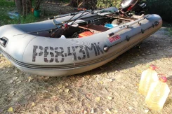 �������� ������. 2010 ���, ����� 3,60��., ��������� ���������, 15,00��.�., ������ ����