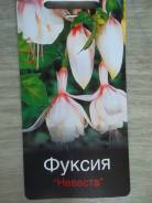 Фуксия.