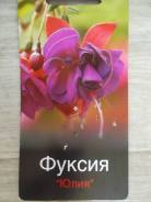 Фуксия.