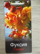 Фуксия.