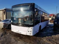 МАЗ 206. Автобус , 72 места
