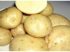 Картофель.