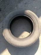 Dunlop SP Sport LM704. ������, 2013 ���, �/�, ����� 60�%