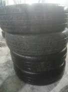 Accelera. ������, �/�, ����� 5�% ����