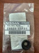 Уплотнитель. Nissan: King Cab, Hardbody, Maxima, Altima, NX-Coupe, NP300, Almera, Civilian, Xterra, Bluebird Sylphy, Cedric, Silvia, Vanette Serena, T...