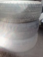 Falken. 6.5x14" ����