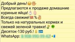 Яйца.