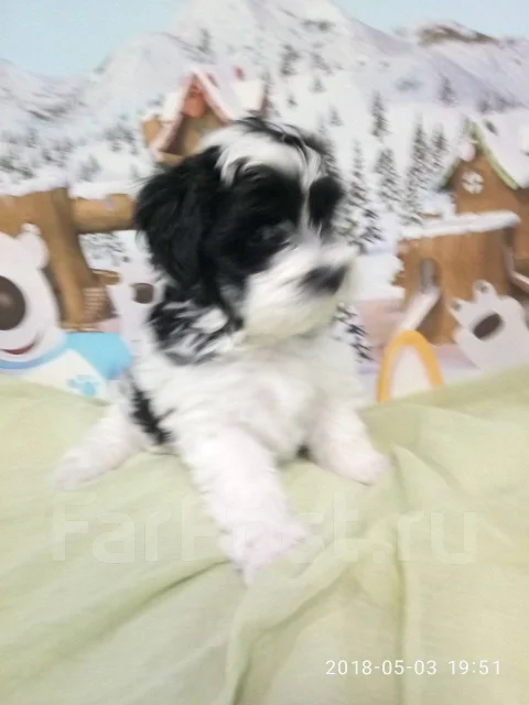 �����. ��� ����� �� ������������ ����