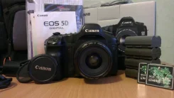 Canon EOS 5D. 10 - 14.9 ��, ���: ��� ���� ����