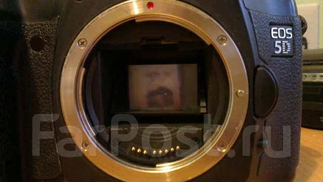 Canon EOS 5D. 10 - 14.9 ��, ���: ��� ���� ����