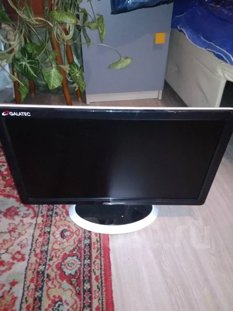 Galatec. 24" ����
