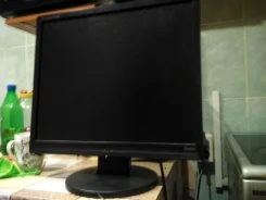 iiyama. 19", ���������� �� (LCD)