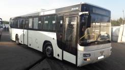 MAN Lion Classic. MAN A72 LION'S Classic U, 6 871 куб. см., 51 место