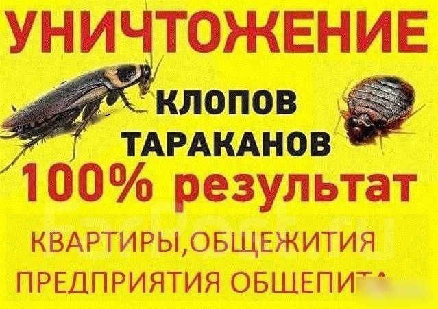 уничтожение клопов и тараканов, блох и т. д в хабаровске. подать объявление. частные объявления и предложения организаци