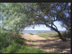 Земельный участок на берегу моря п-в Песчаный. 3 700 кв. м., собственность, электричество, вода, от частного лица (собственник). Фото участка