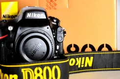 Nikon D800. 20 � ����� ��