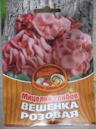 Вешенки.