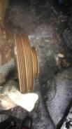 Шкив. Honda: Ballade, City, Civic, Integra SJ, Civic Ferio, Domani, Partner Двигатели: B16A6, B18B4, D15Z4, D16Y9, D13B6, D13B8, B16A2, B16A4, B16A5...