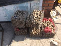 Картофель.