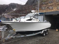 Yamaha YF. 2006 ���, ����� 7��., ��������� ���������, 175��.�., ������. ��� ����� �� ������������ ����