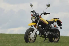 Suzuki Street Magic II. 49����. ��., ��������, ��� ���, � �������� ����
