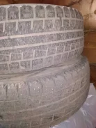 Annaite. ������, ��� �����, 2013 ���, �/�, ����� 40�%