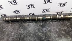 Распредвал. Lexus: IS300, IS200, SC300, SC400, GS430, GS300, GS400 Toyota: Crown, Aristo, Soarer, Altezza, Chaser, Crown Majesta, Mark II Wagon Blit...