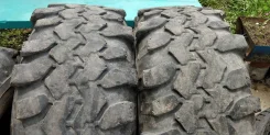 Interco TSL. ����� mt, 2011 ���, �/�, ����� 50 %. ��� ����� �� �������-�������� ����