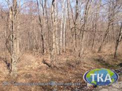 Участок 25 соток ИЖС, собственность, Емар. 2 500 кв. м., собственность, от агентства недвижимости (посредник)