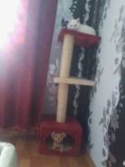 Кошки.