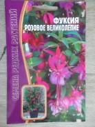 Фуксия.