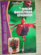 Фуксия.