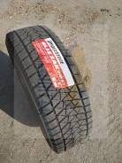 Bridgestone Blizzak DM-V2