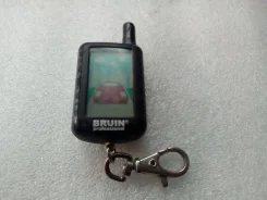 Bruin. ����