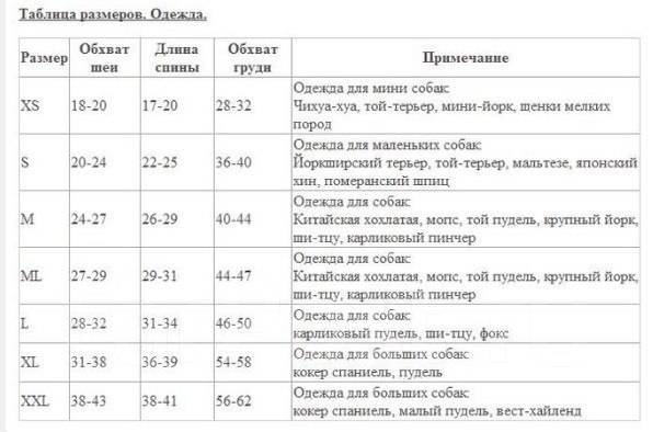 Рост и вес пуделя по месяцам таблица