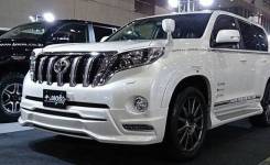 Губа. Toyota Land Cruiser Prado, GDJ150, GDJ150L, GDJ150W, GDJ151W, GRJ150, GRJ150L, GRJ150W, GRJ151W, KDJ150, KDJ150L, LJ150, TRJ150, TRJ150L, TRJ150...