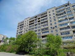 2-комнатная, улица Нахимовская 28. Нахимовская, ГУМ, Заводская, агентство, 48 кв. м. Дом снаружи