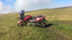 Cobra Crossfire. 200����. ��., ��������, ���, � �������� ����