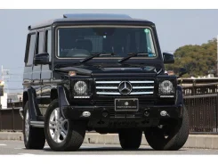 Mercedes-Benz G-Class. �������, 4wd, 3.0, ������, 40 000����. ��, �/�. ��� ����� �� ���������� ����