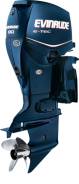 Evinrude. 90,00 л.с., 2-тактный, бензиновый, нога L (508 мм), 2012 год год