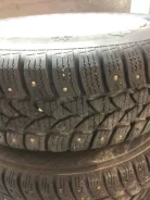 Riken AllStar Stud. ������, ����������, �/�, ����� 30�% ����