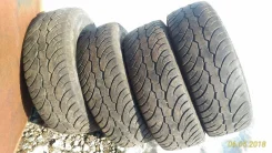 Effiplus Masplorer II. ������, 2011 ���, �/�, ����� 60�%
